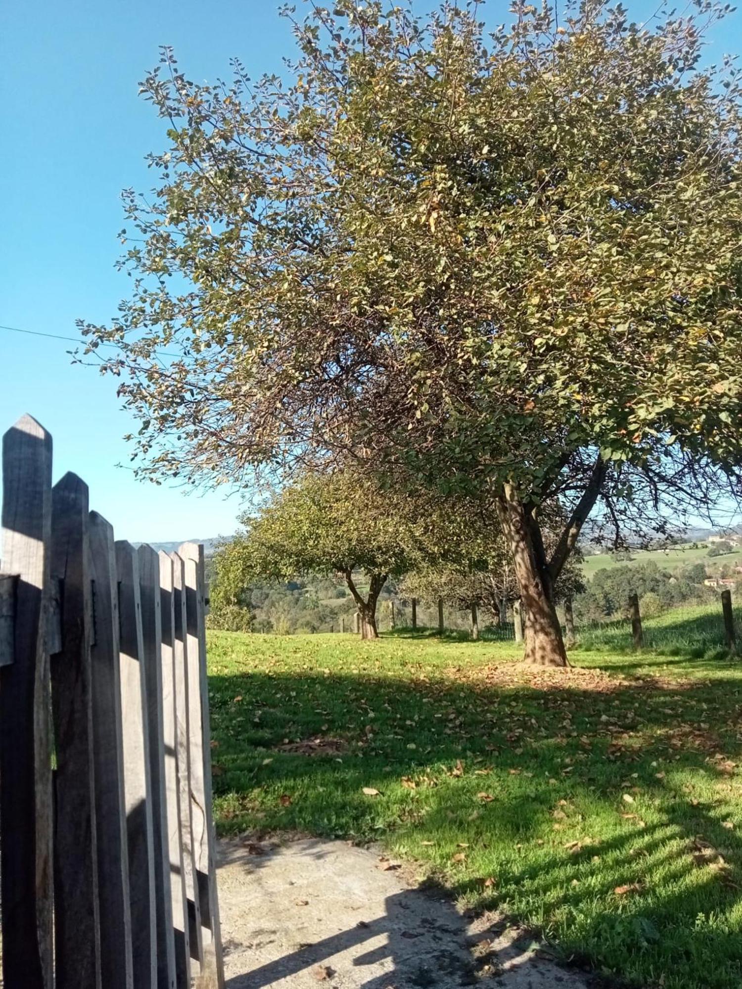 Casa Boni Y Florina Villa Nava Kültér fotó